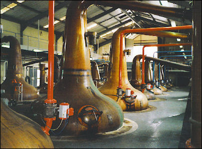 20120528-Scotch Glenfiddich_Distillery_stills.jpg